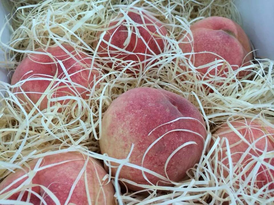 いただきます！福岡のおいしい幸せ　7/23の写真です"