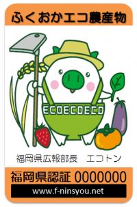 いただきます！福岡のおいしい幸せ　9/2の写真です"