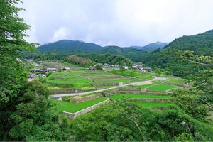area-tanada-ph_01.jpg
